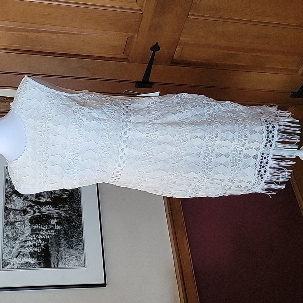 LULUS Fringed Lace Sheath